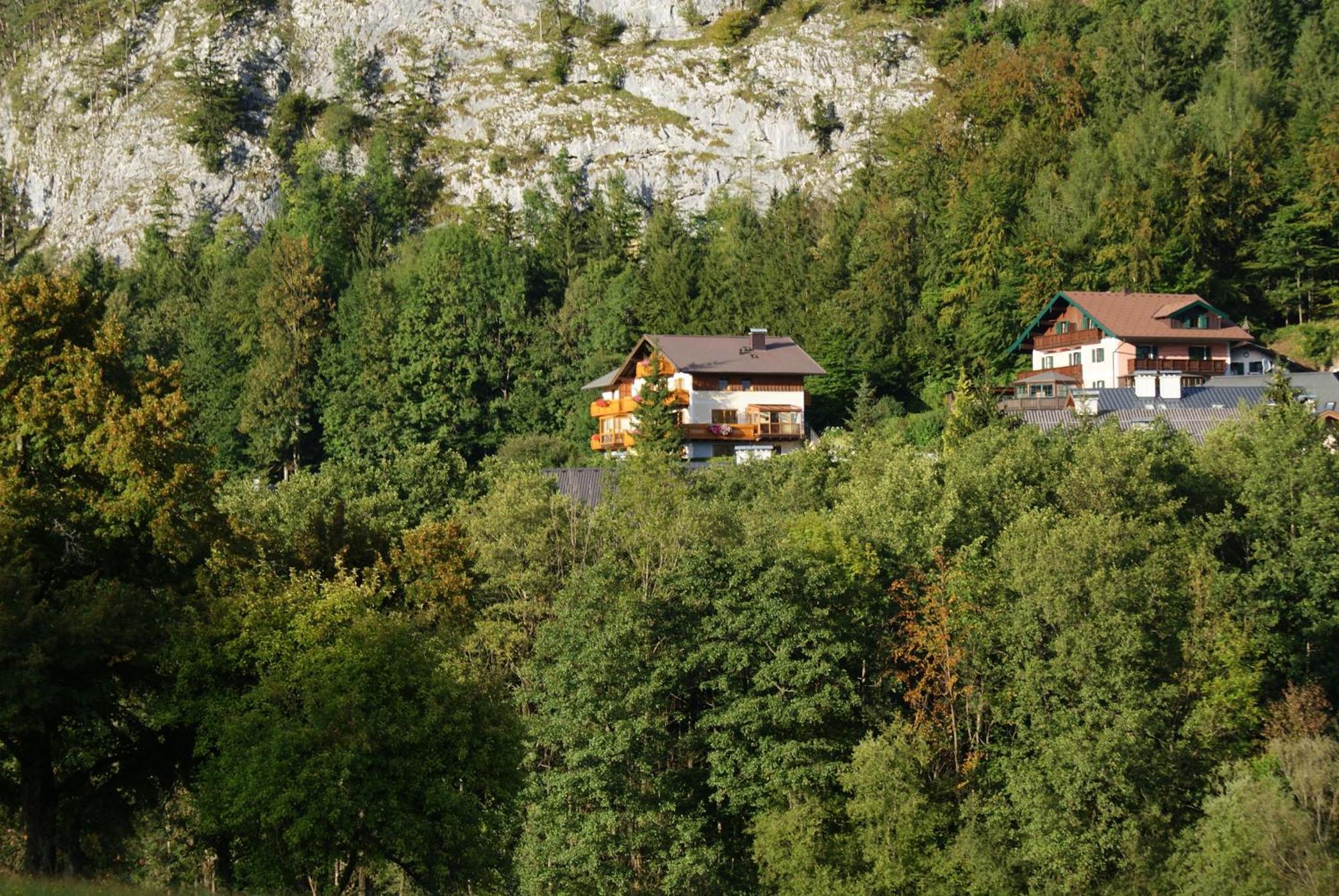 Haus Meissnitzer Fuschl am See Eksteriør billede